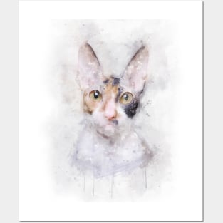 Cornish Rex cat Posters and Art